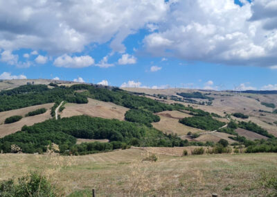 Drafting of management plans for Natura 2000 sites in the Province of Benevento