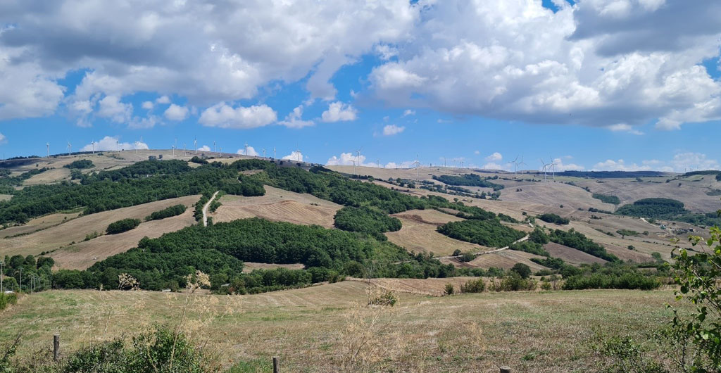 Redazione dei piani di gestione dei siti della rete natura 2000 nel territorio della Provincia di Benevento.