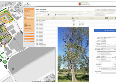 Arboreal Management Plan Municipality of Pisa