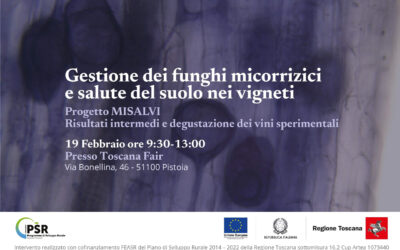 Presentation of the “MiSalVi Management of Mycorrhizal Fungi and Soil Health in Vineyards” Project: First Public Event with Tasting Held in Pistoia